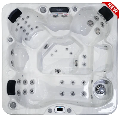 Costa-X EC-749LX hot tubs for sale in Lowell