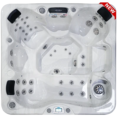 Avalon-X EC-849LX hot tubs for sale in Lowell