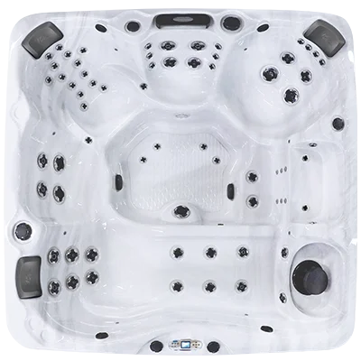 Avalon EC-867L hot tubs for sale in Lowell