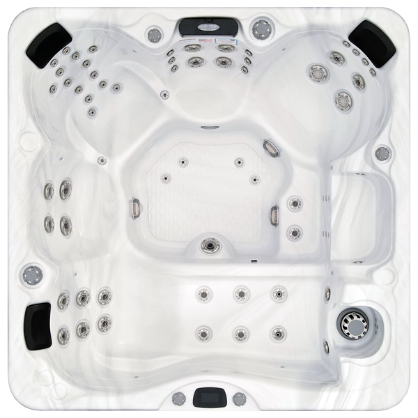 Avalon-X EC-867LX hot tubs for sale in Lowell